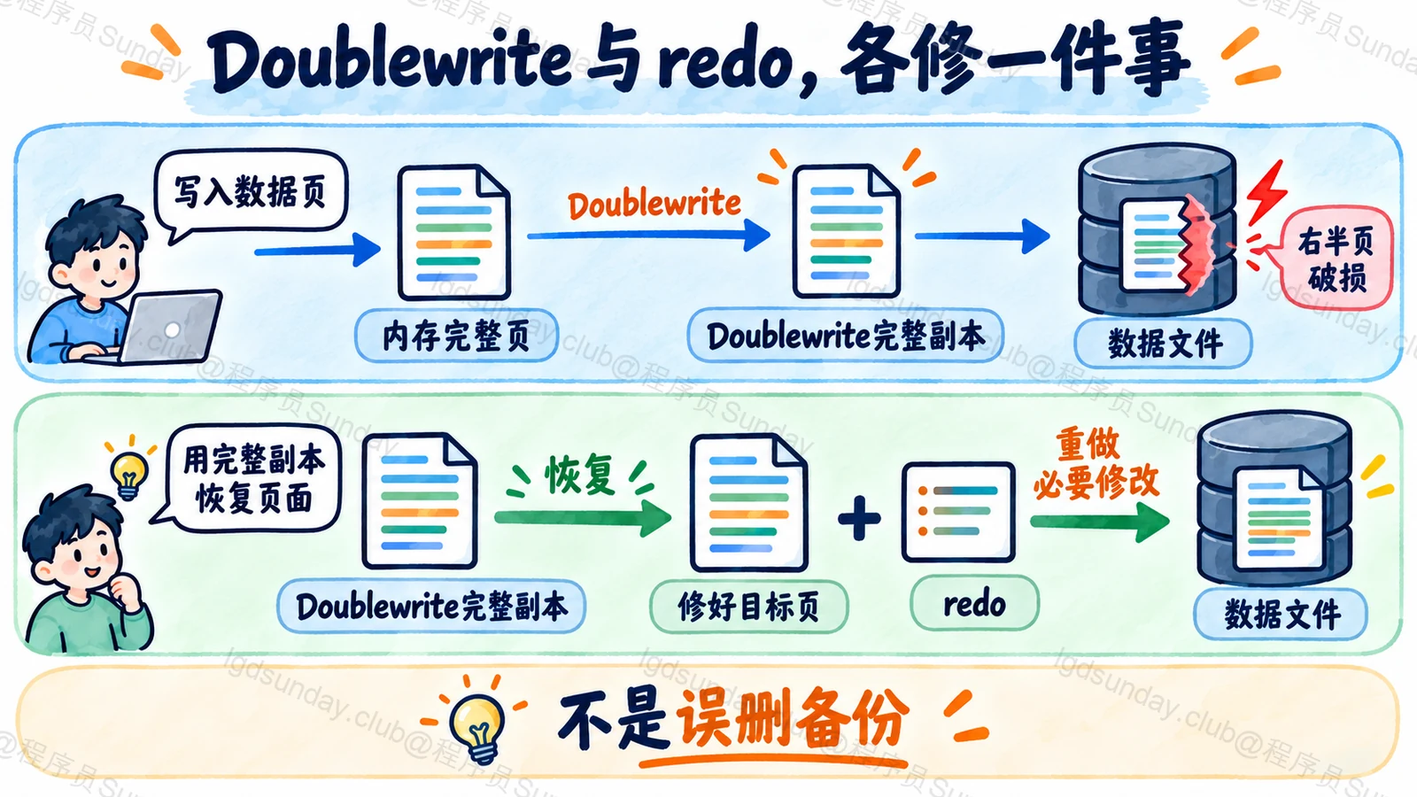 Doublewrite 先提供完整页，redo 随后重做必要修改，两者职责不同