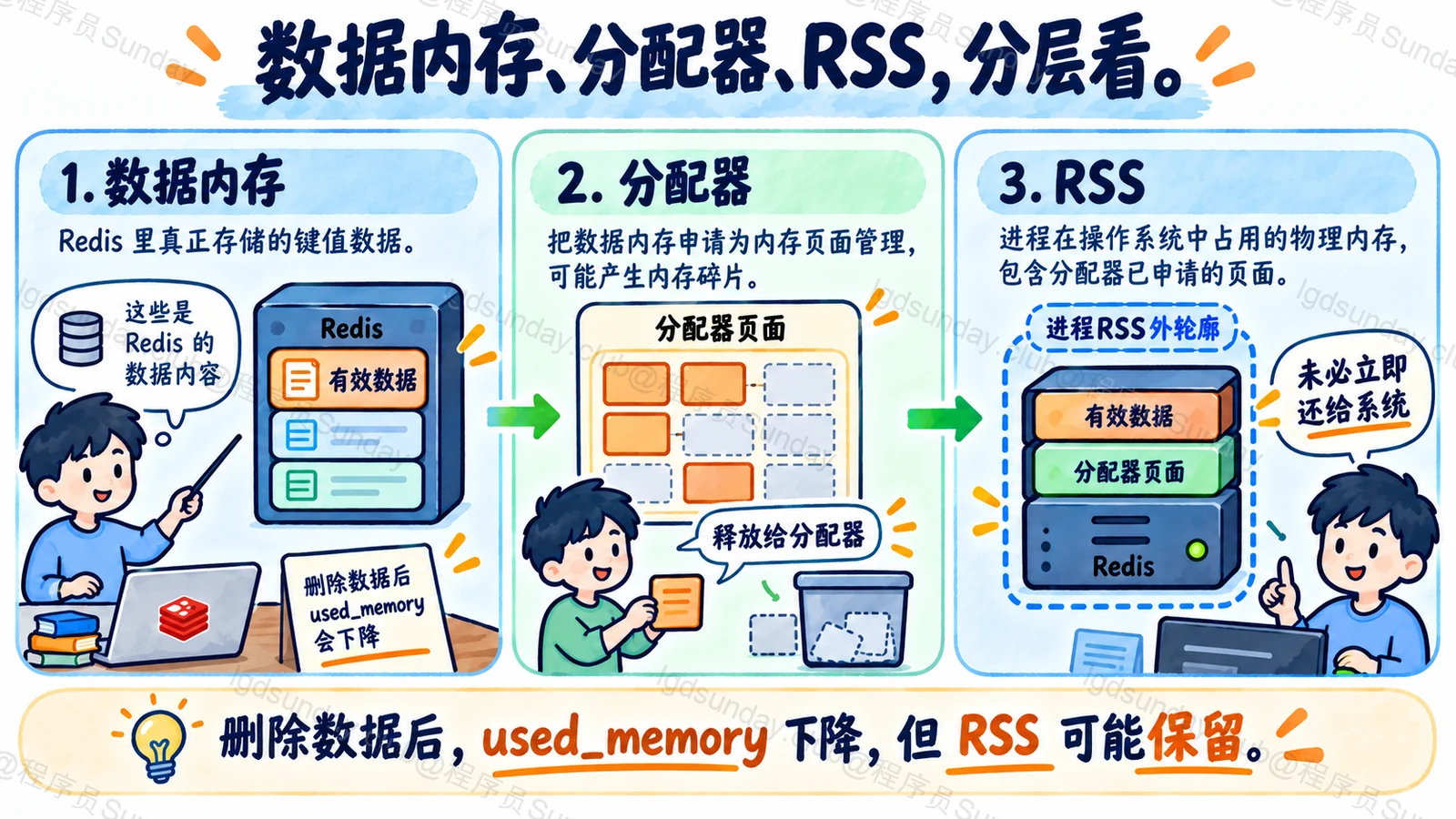 数据内存、分配器、RSS，分层看