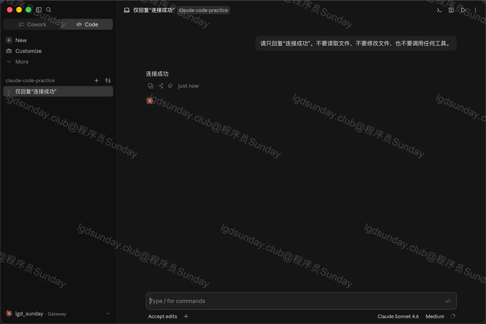 无需 Claude 账号！Claude Code APP + DeepSeek  配图19