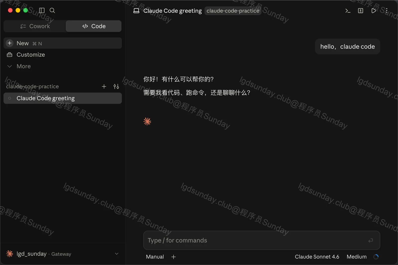 无需 Claude 账号！Claude Code APP + DeepSeek  配图1